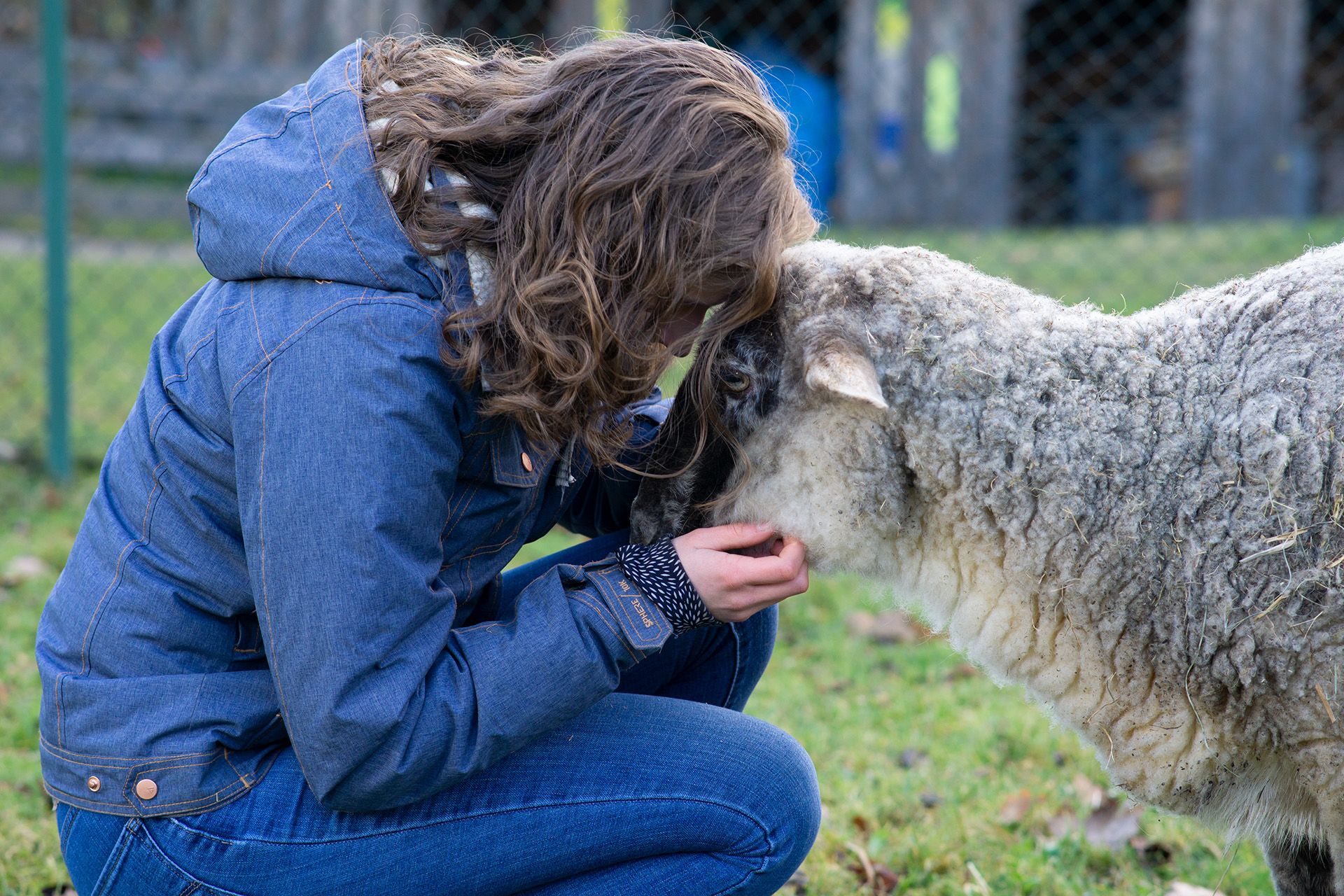 Mädchen kuschelt mit Schaf